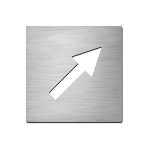 PICTOGRAMME CARRÉ DIRECTION 45° - INOX